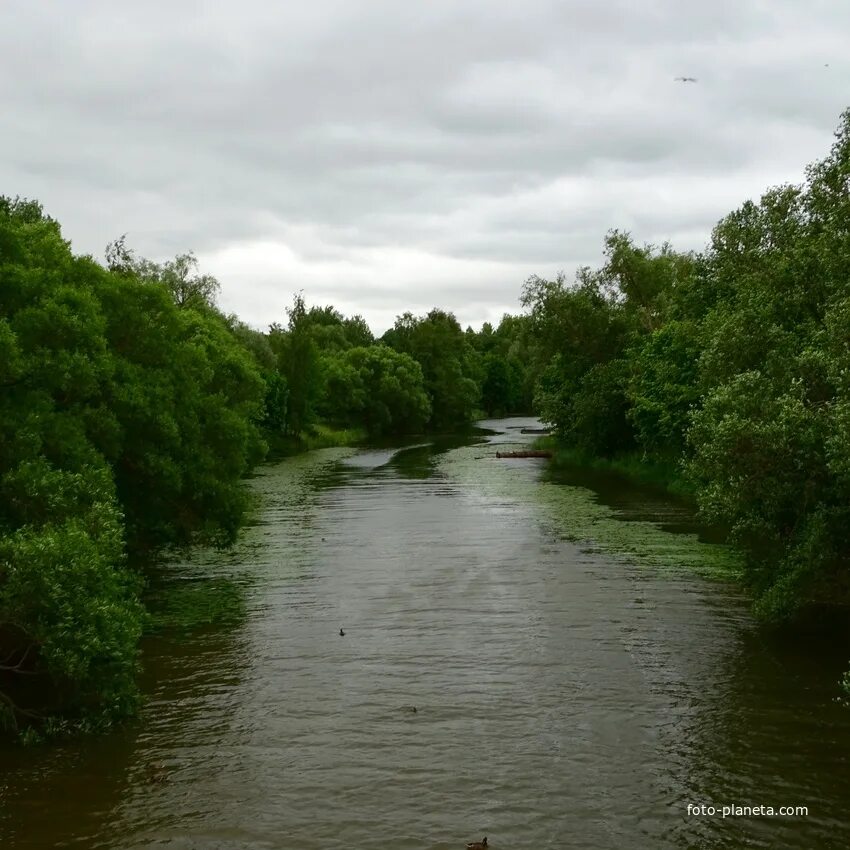 Река стрелка фото Река Стрелка Стрельна (поселок) (Петродворцовый район) Фотопланета