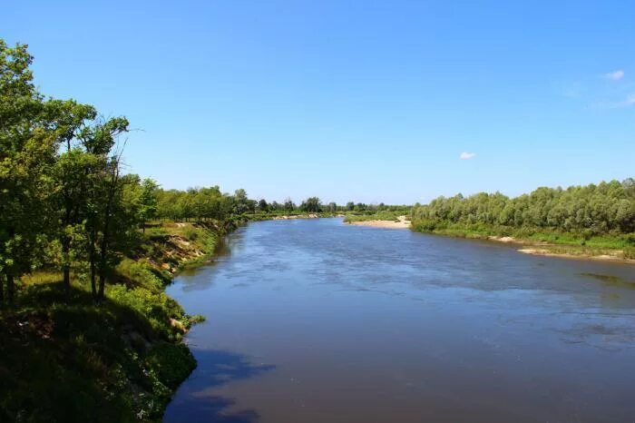 Река сура фото Река Сура (фото). Где течет река Сура, куда впадает? :: SYL.ru