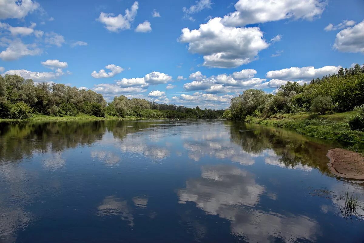 Река сура фото р.Сура :: Вячеслав - Социальная сеть ФотоКто