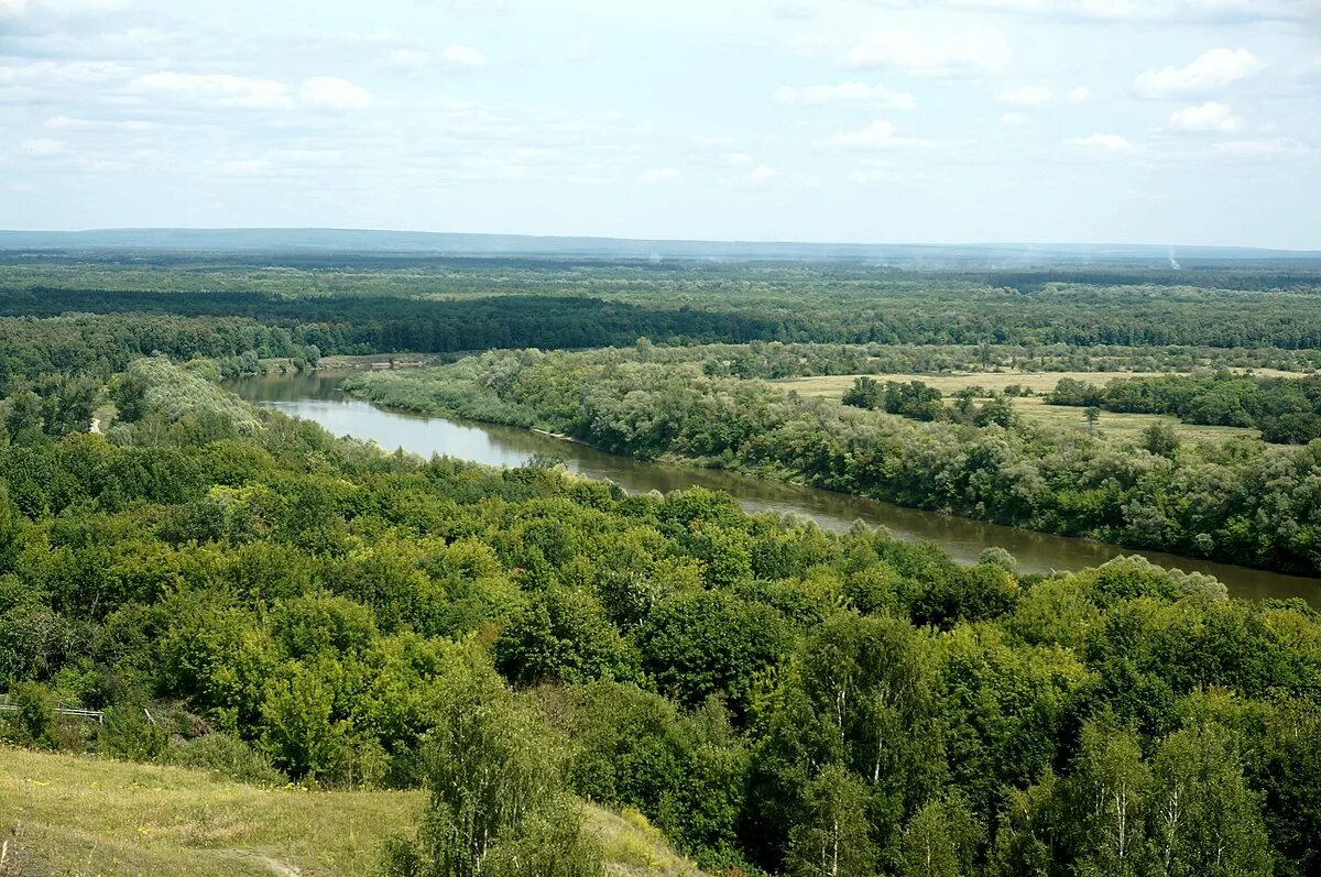 Река сура фото File:Sura river 03391.jpg - Wikimedia Commons