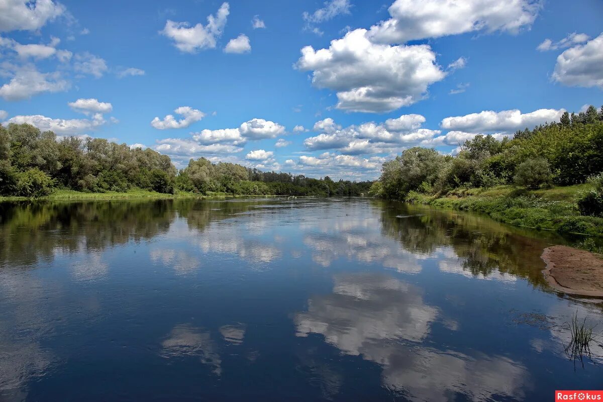 Река сура пенза фото Фото: р.Сура. Фотограф Вячеслав. Пейзаж. Фотосайт Расфокус.ру