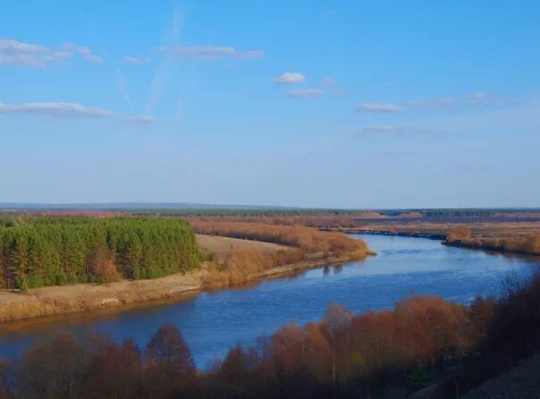 Река сура ульяновская область фото РЕКИ СИМБИРСКОГО-УЛЬЯНОВСКОГО ПОВОЛЖЬЯ ВРЕМЕНА ГОДА Река Сура и побережье 21 апр