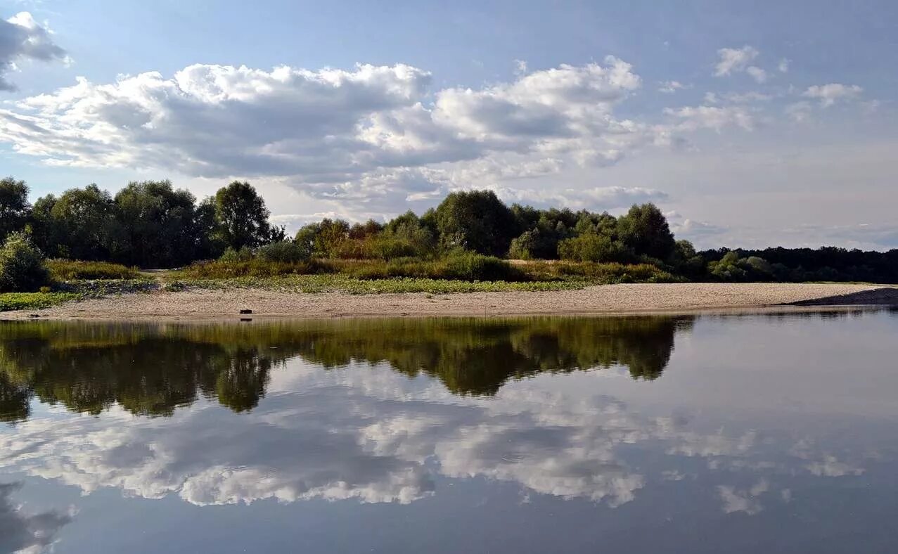 Река сура ульяновская область фото Река Алатырь Марийские Лесоходы