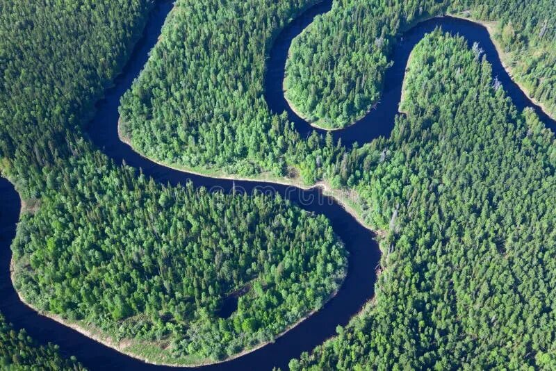 Река сверху фото Summer Warm Sun Light Forest Aerial View Stock Photo - Image of ground, holiday: