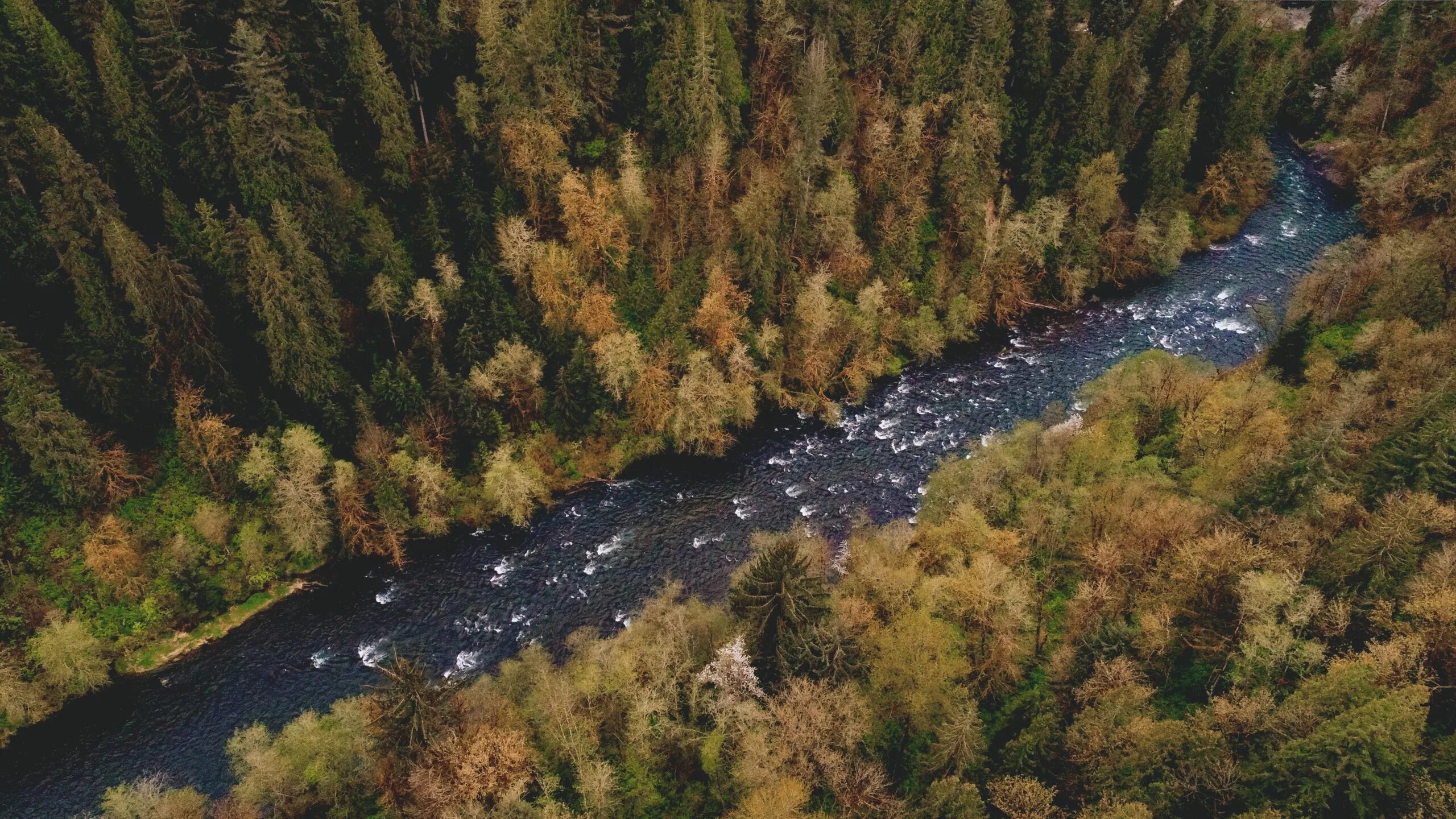 Скачать 5120x3414 река, вид сверху, трава, вода обои, картинки