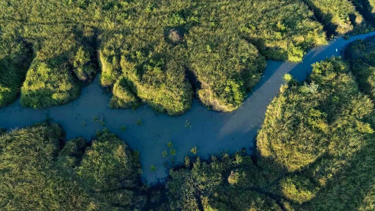 Река сверху фото Картина Экорамка Поля и река вид сверху, Холст - купить по низкой цене на Яндекс