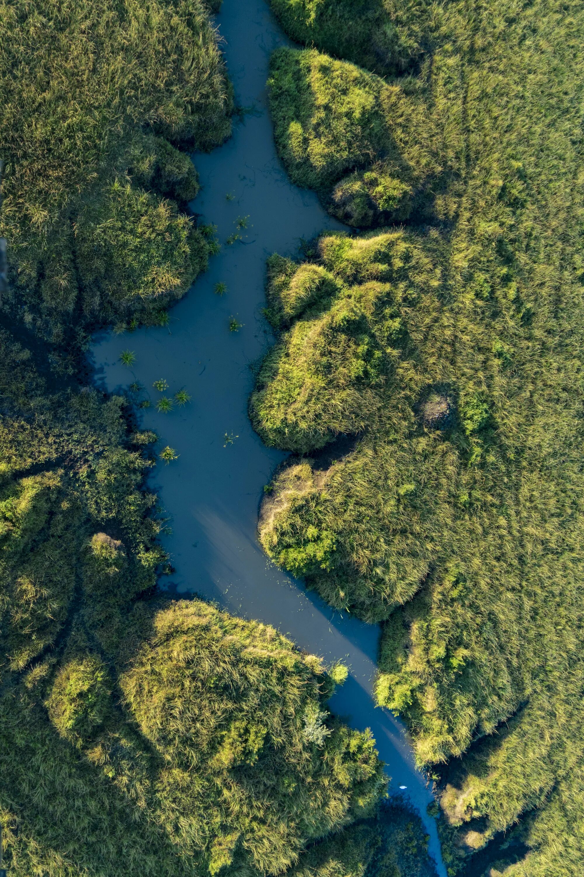 Река сверху фото Скачать 5120x3414 река, вид сверху, трава, вода обои, картинки