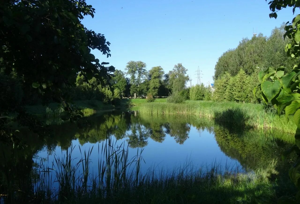 Река свислочь фото река Свислочь Свислочь Гродненская обл River, Water, Outdoor