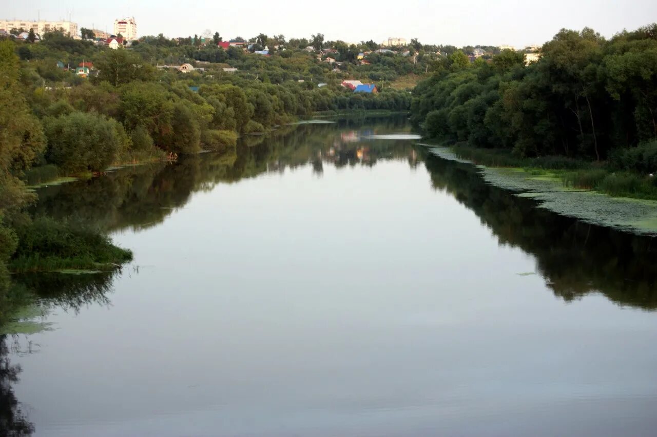 Река свияга фото Река в ульяновске - Фото