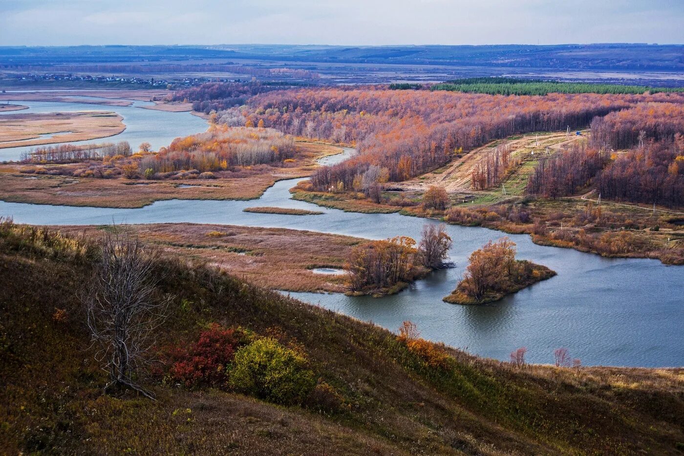 Река свияга фото Мечтательная пятница / дельта реки Свияга,сТихий Плес,Татарстан