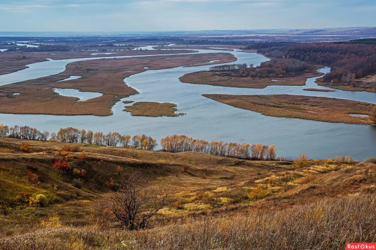 Река свияга фото Фото: Дельта р.Свияга. Фотограф елена гордеева. Пейзаж. Фотосайт Расфокус.ру