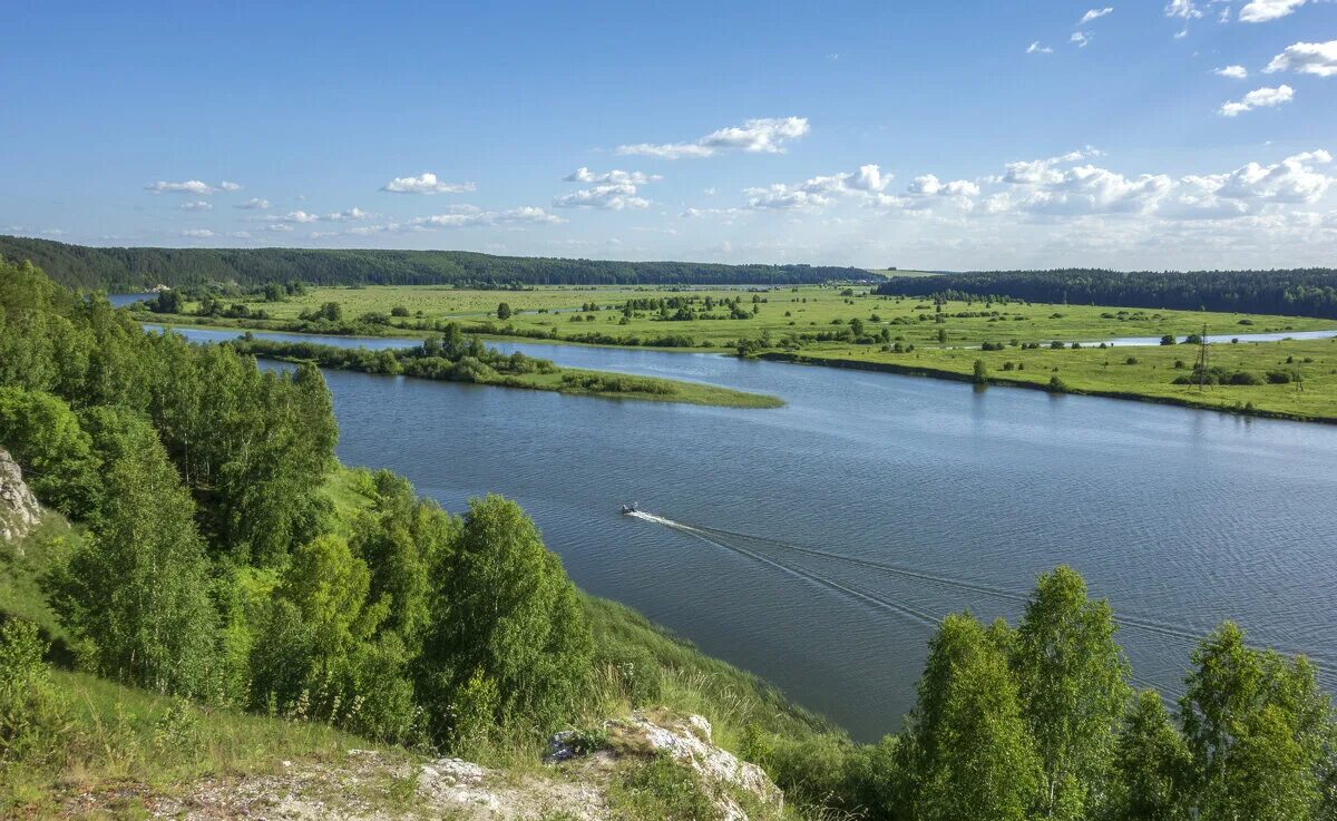 В Перми регламентировали обустройство лесов и долин малых рек - В курсе.ру