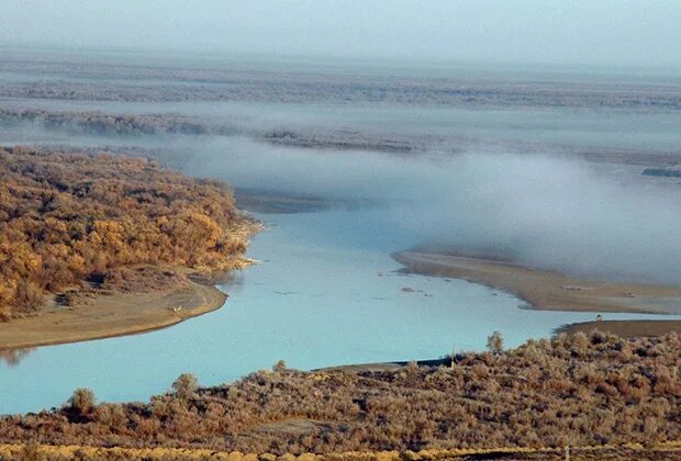 Река сырдарья фото Ядовитые воды Самая длинная река Средней Азии оказалась отравленной: Средняя Ази