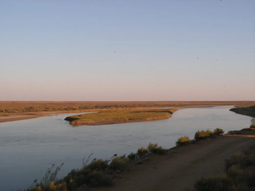 Река сырдарья фото Одиннадцать человек утонули в реке Сырдарье на юге Казахстана