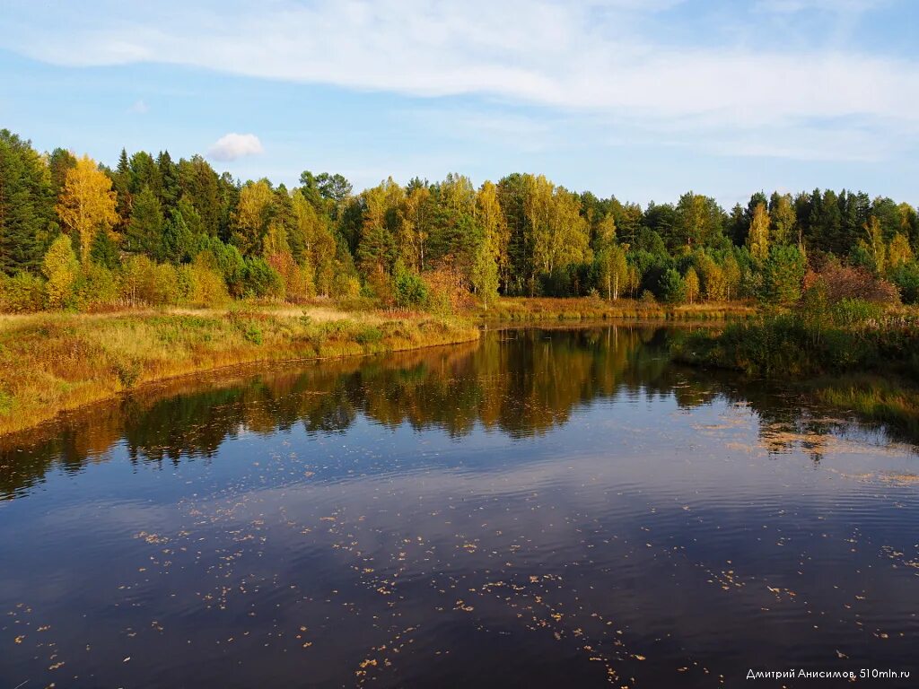 Река тагил фото 510 миллионов квадратных километров. Разное. Фотодневник. 12 сентября 2019 г. Ве