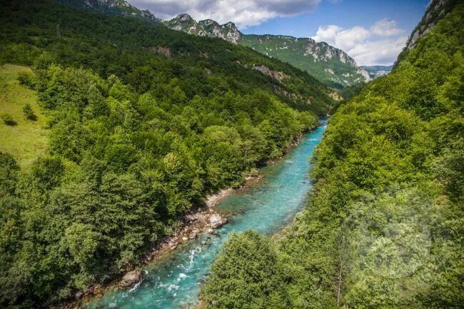 Река тара фото Fotografije prirode Rafting Centar Drina Tara : Rafting na Tari : Tara Rafting R