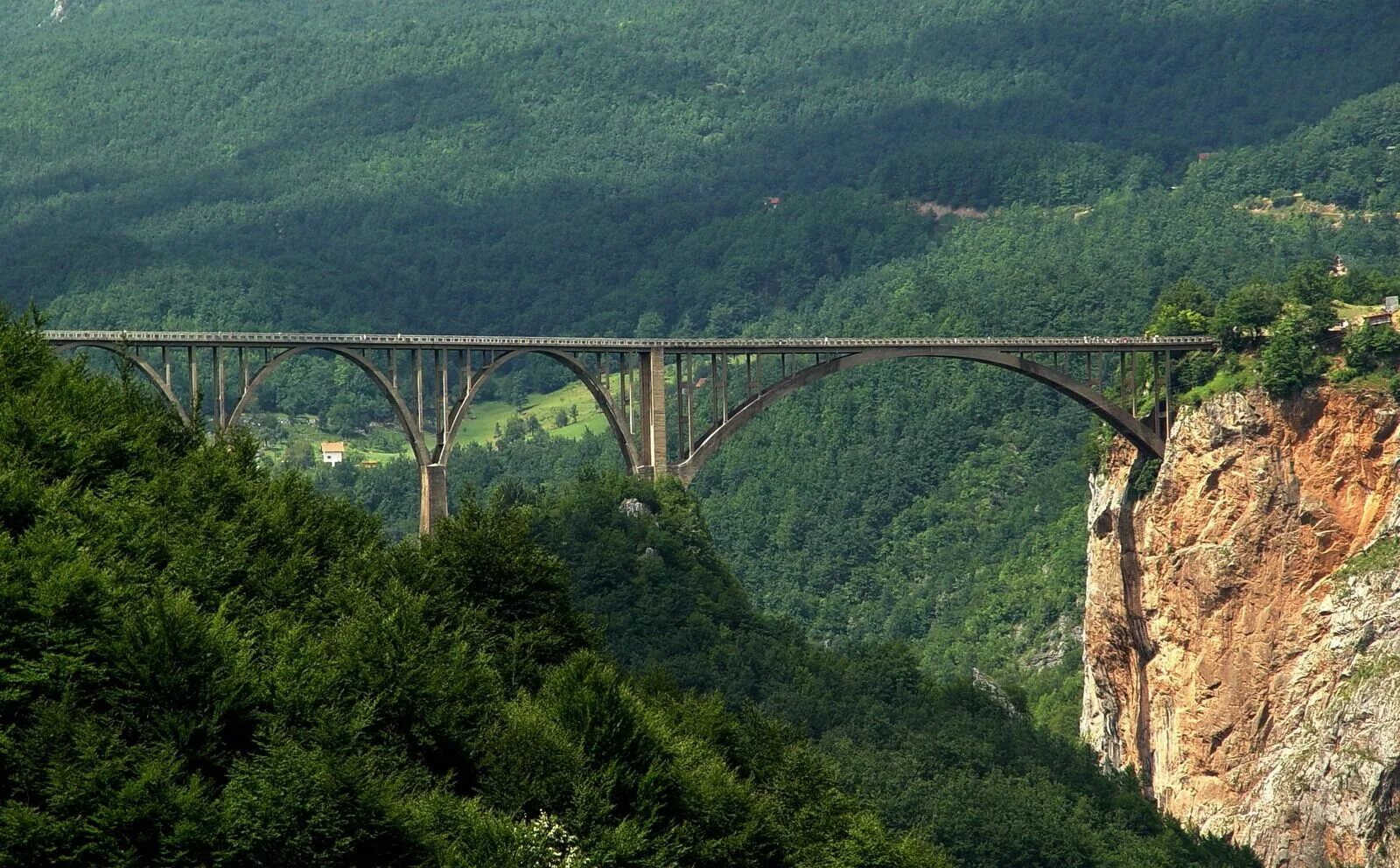 Река тара фото Река тара фото YugNash.ru