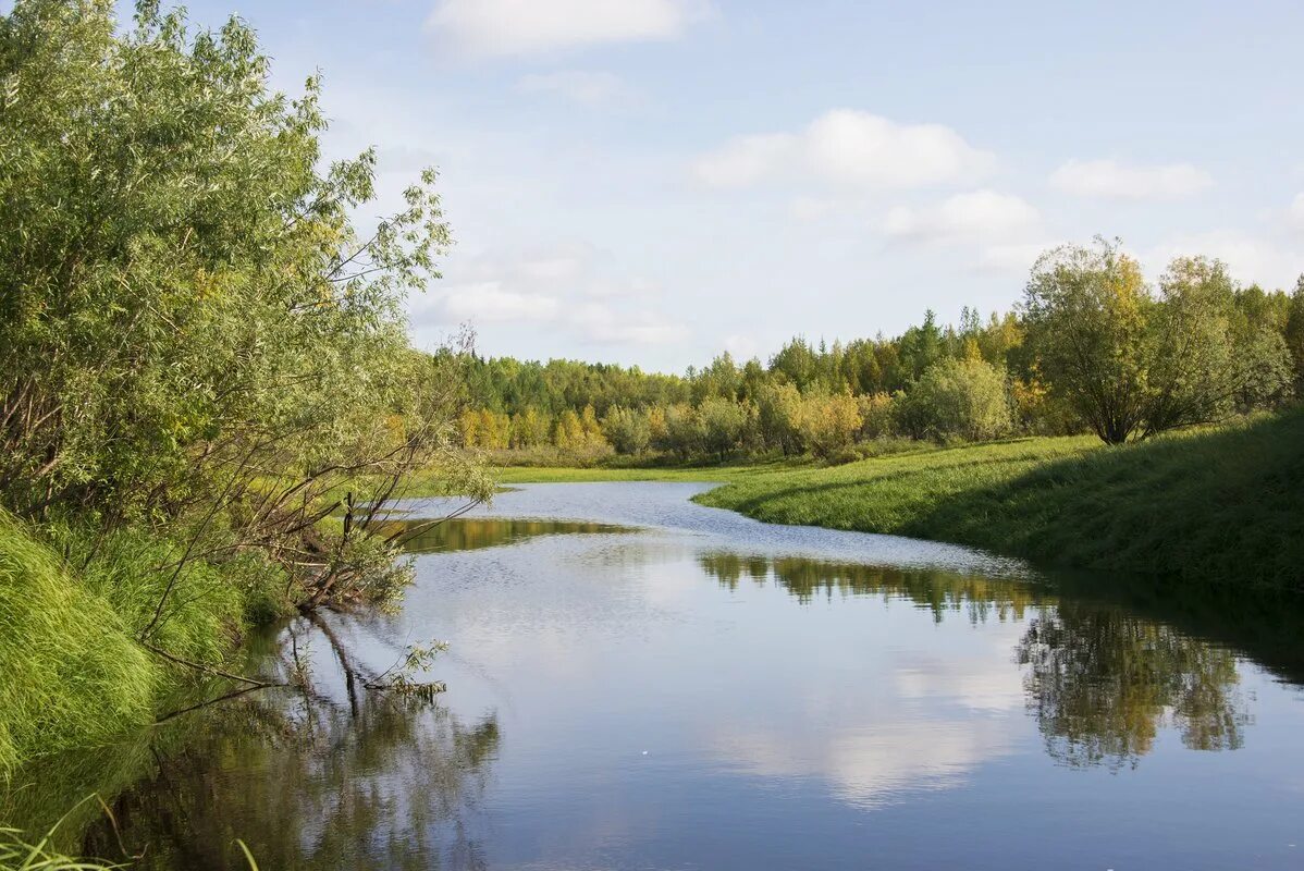 Река таз фото Река таз на - Фото