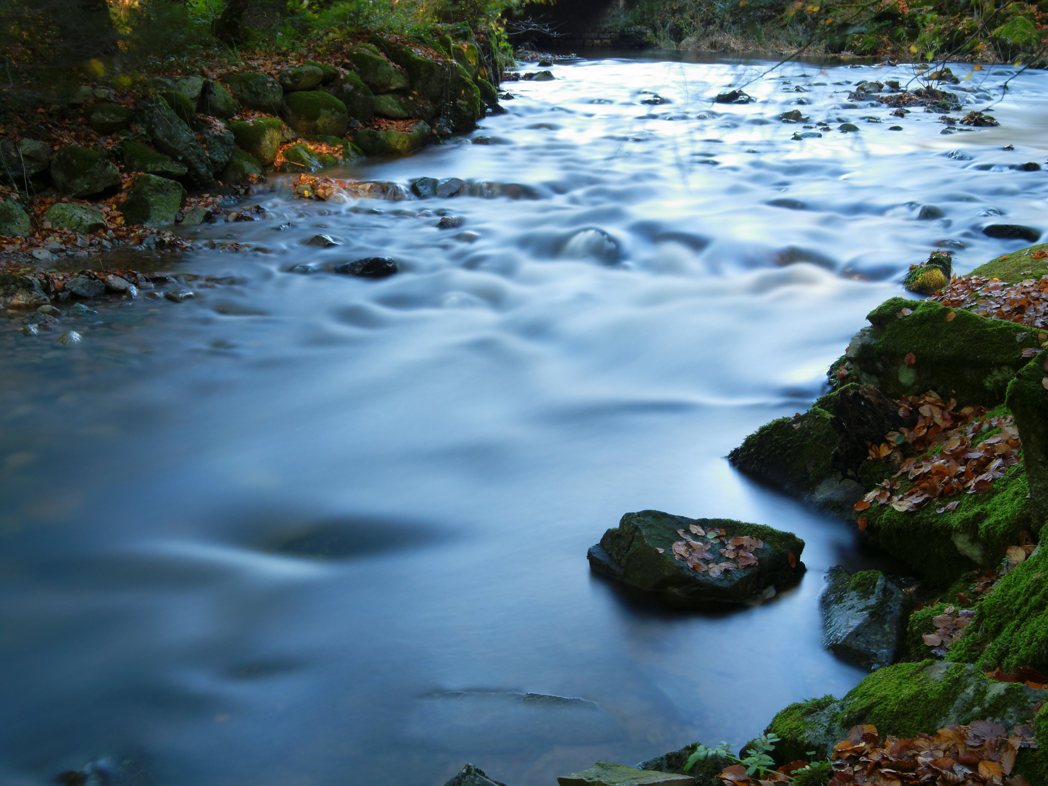 River Tweed value 'rises by £ 6m' - BBC News