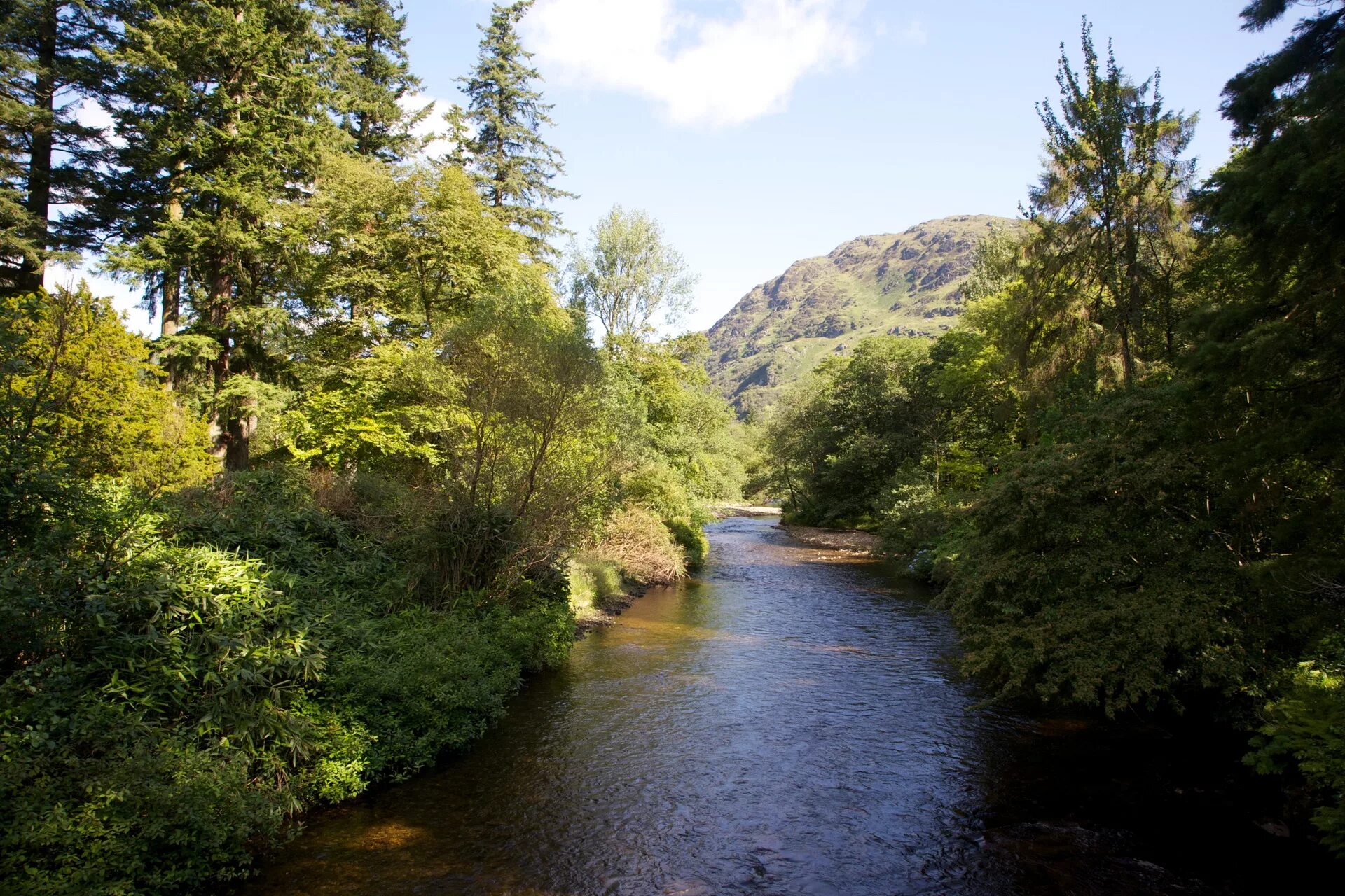 Река цена фото Фотография River Eachaig Benmore UK Природа речка 1920x1280