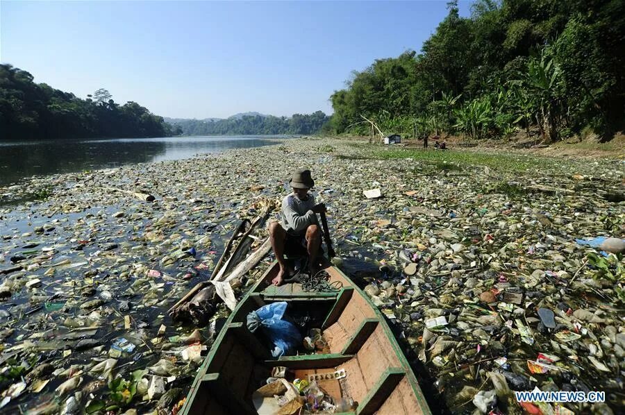 Река цитарум фото Citarum river covered by plastic waste in Bandung, Indonesia - Xinhua English.ne