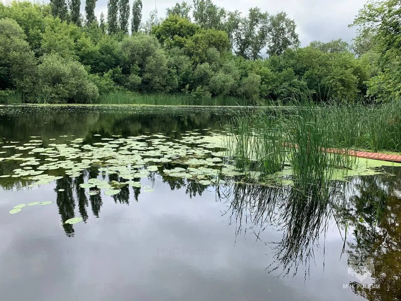 Река цна фото Информация о происшествии на воде в городе Моршанске, Тамбовской области - Опера