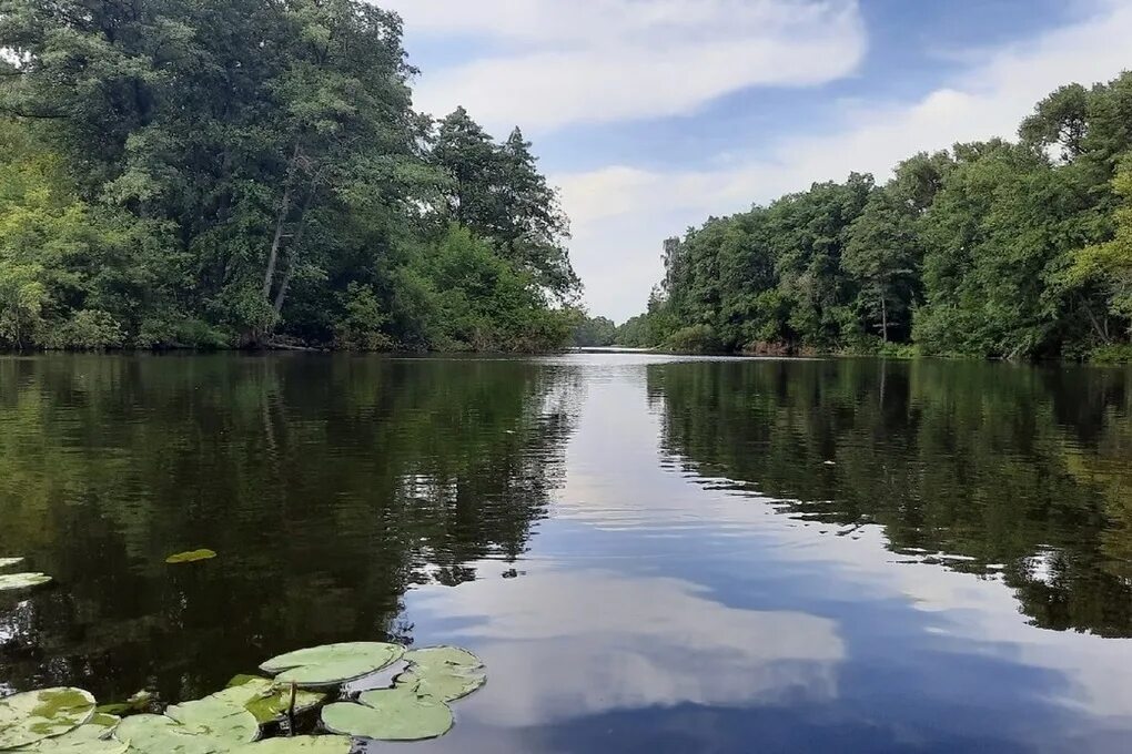 Река цна моршанск красивые фото В Моршанском районе в реке Цна утонул мужчина - МК Тамбов