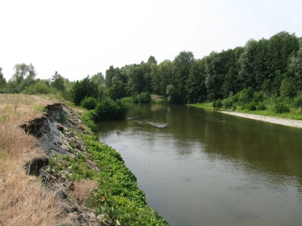 Река терешка фото река Терешка Обзор и фотографии Путеводная Звезда