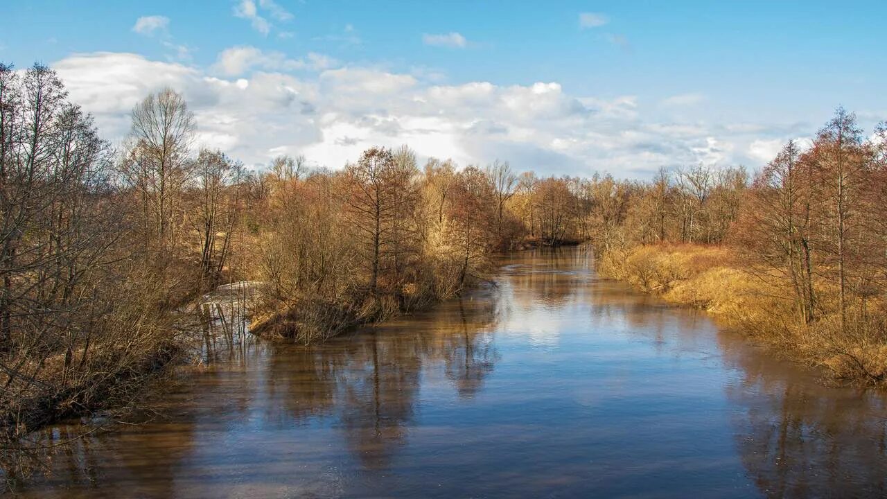 Река теша фото Весна в окрестностях г.Кулебаки (фото)