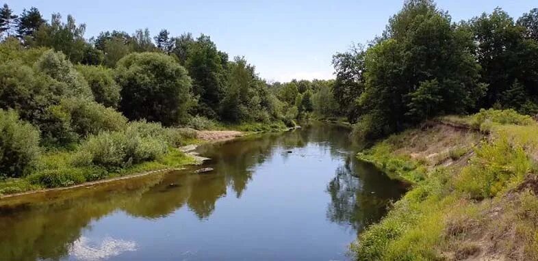 Река теша фото Речка Теша в качестве 4К