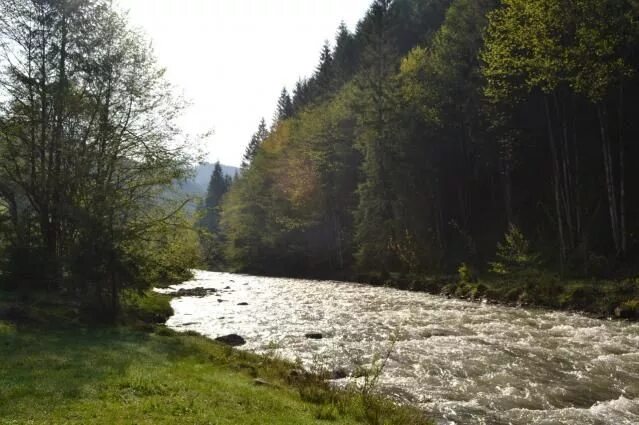 Река тиса фото В яких річках України найчистіша вода http://ecotown.com.ua/news/V-yakykh-richka