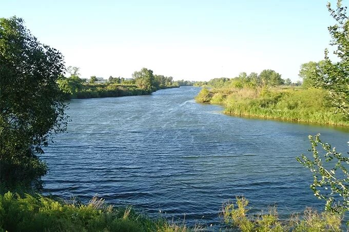 Река тобол фото В Кургане в реке Тобол обнаружено тело местного жителя 15.08.2019 Шадринск - Без