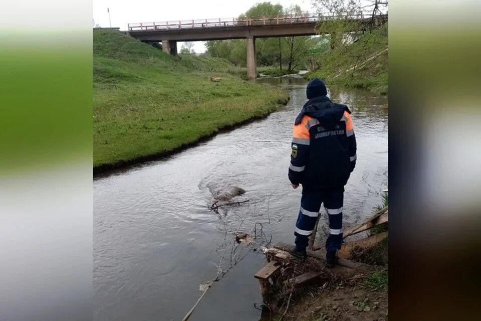 Река трупов фото В Башкирии из реки достали тело утопленницы - KP.RU