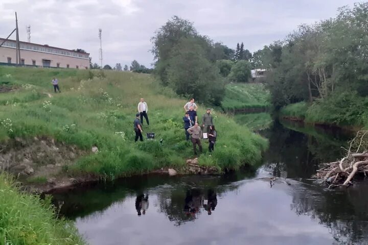 Река трупов фото Удалось опознать мужское тело с силиконовой грудью, найденное в реке - МК Санкт-