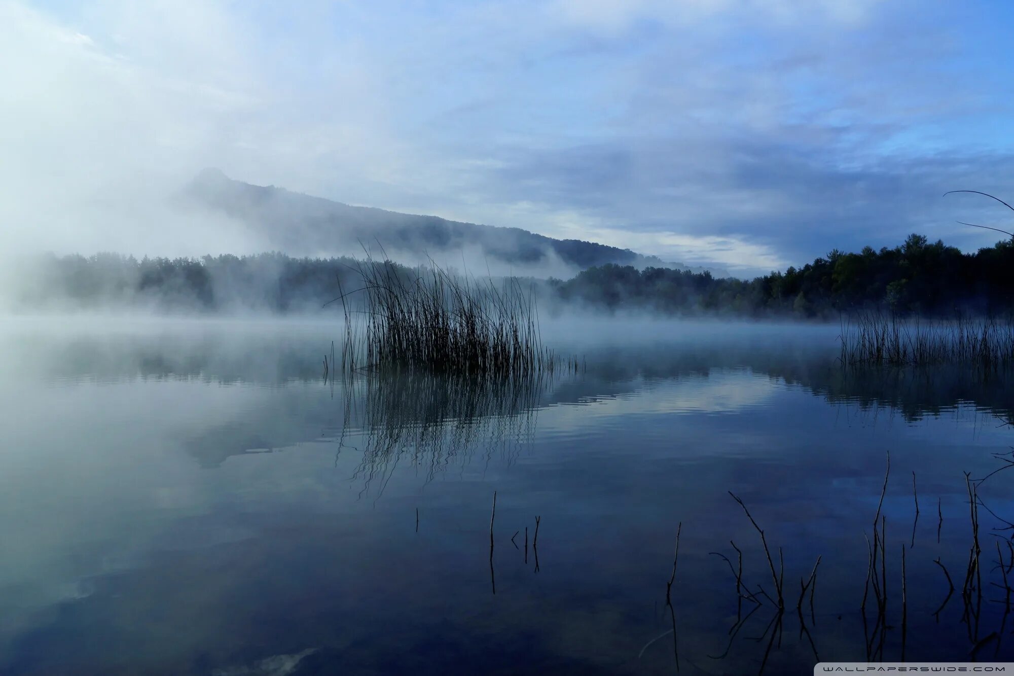 Река туманная фото Foggy Lake Ultra HD Desktop Background Wallpaper for 4K UHD TV : Widescreen & Ul