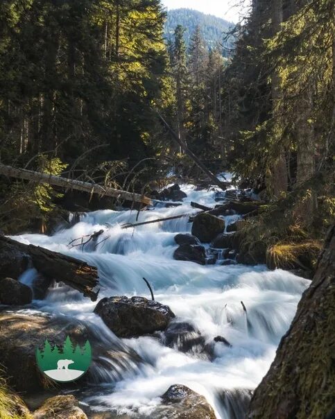 Река уллу муруджу фото The Ullu-Muruju River on its way to Dombay Photo by roman.kokorin #Карачаево_Чер