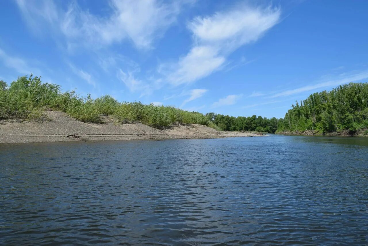 Река урал фото Водная экспедиция (Сплав по реке Урал: с. Урал - с. Донское) Институт степи