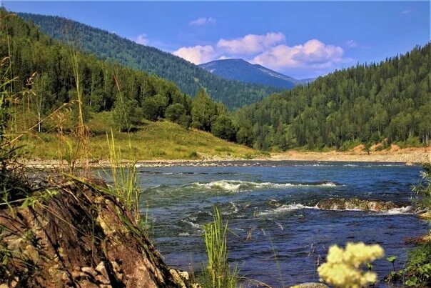 Река уса фото River Usa, Kuznetsky Alatau Photo by Sergey Chinyaev 2022 Это Сибирь! Алтай, Бай