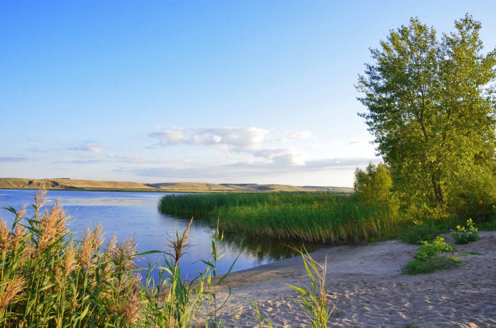 Река уса самарская область фото Река большая уса - BlesnaRossii.ru