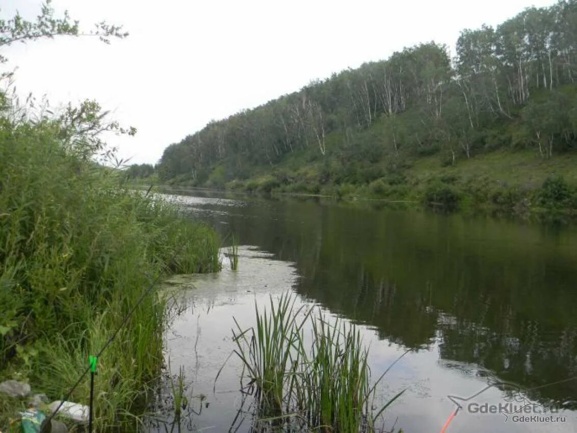 Река уй фото Река Уй на границе с Казахстаном