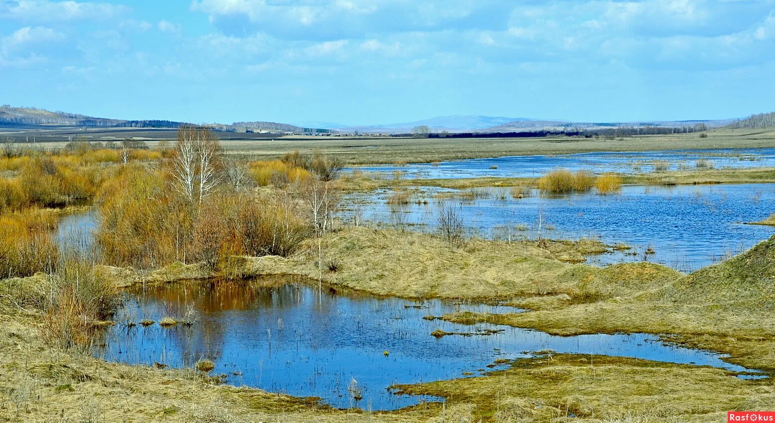 Река уй фото Фото: Река Уй весенний разлив. Фотолюбитель Александр Ткаченко. Панорама. Фотоса