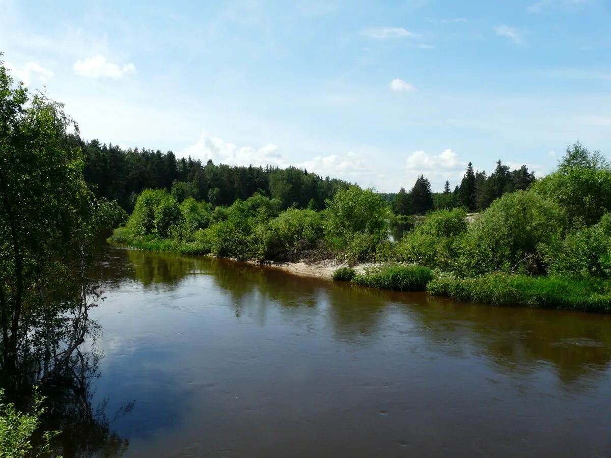 Река узола фото Река Узола.