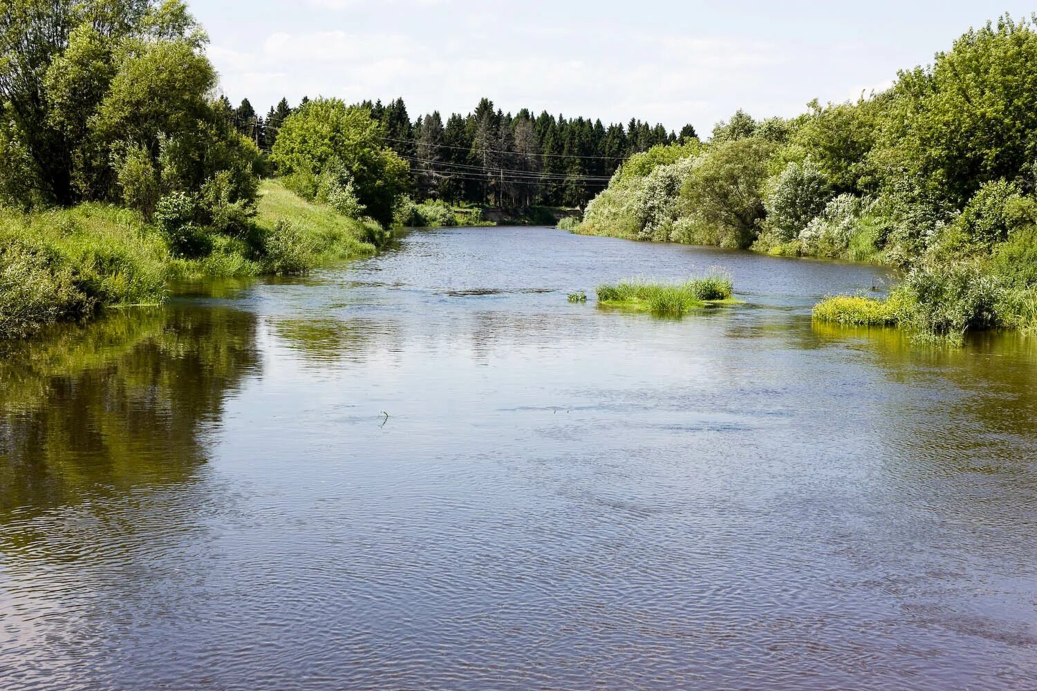 Река узола фото File:Р.Узола (2010.06.22) - panoramio.jpg - Wikimedia Commons