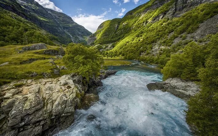 Река в горах фото Download wall paper mountain river, mountains, green trees, summer, Sogn og Fjor