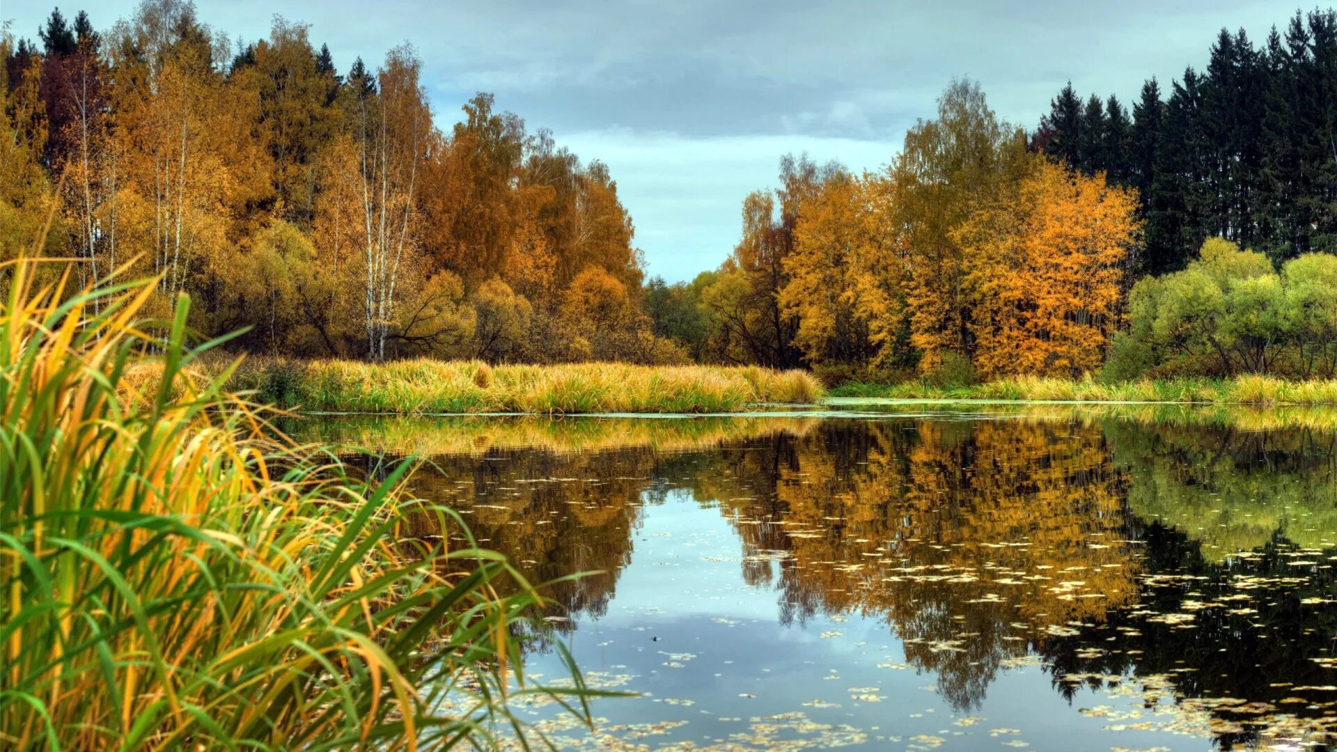 Река в лесу осенью фото Скачать обои осень, листья, деревья, природа, отражение, река, раздел пейзажи в 