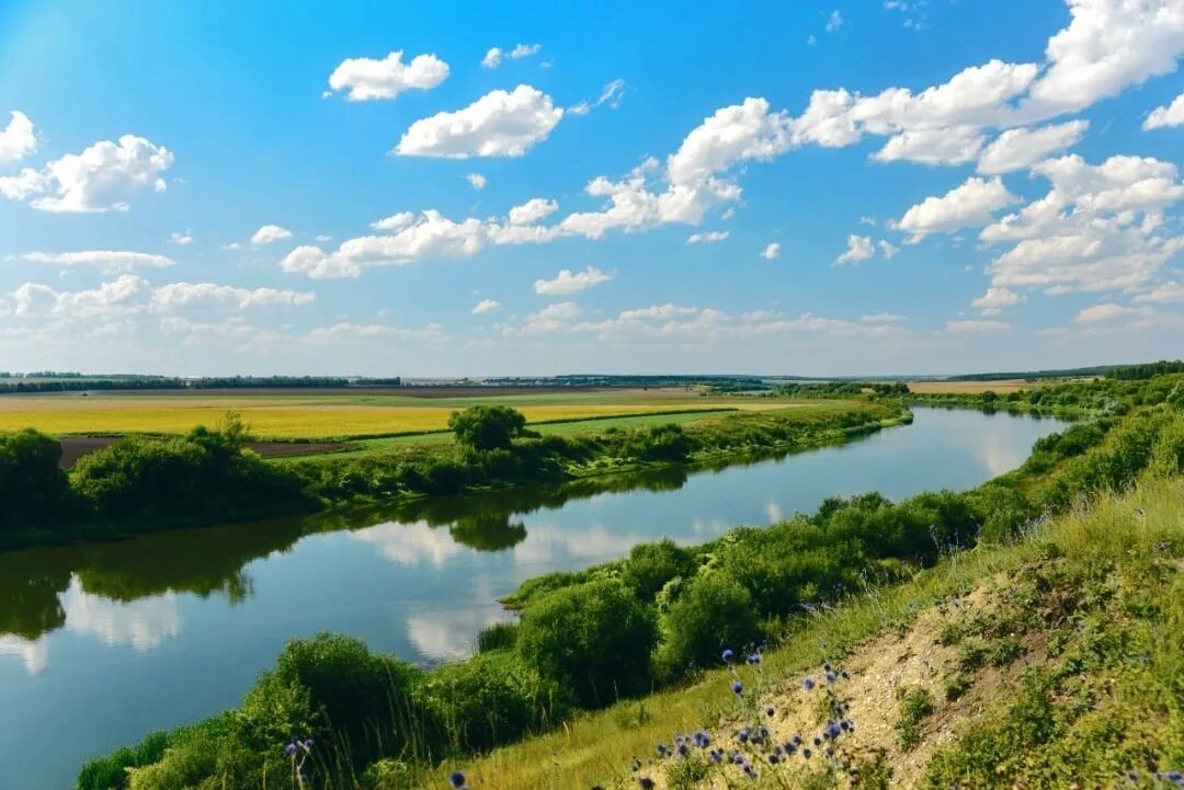 Река в липецке название и фото Реки липецком районе