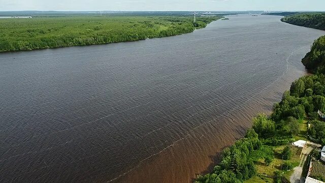 Река в перми фото File:Kama River, Perm Krai, Pyskor.jpg - Wikimedia Commons