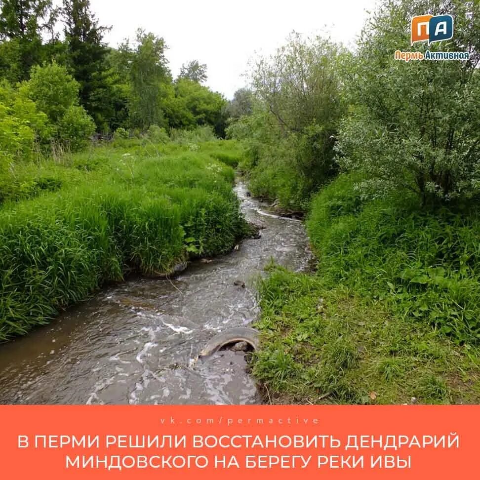 Река в перми фото In Motovilikhinsky district of Perm decided to restore the arboretum of Mindovsk