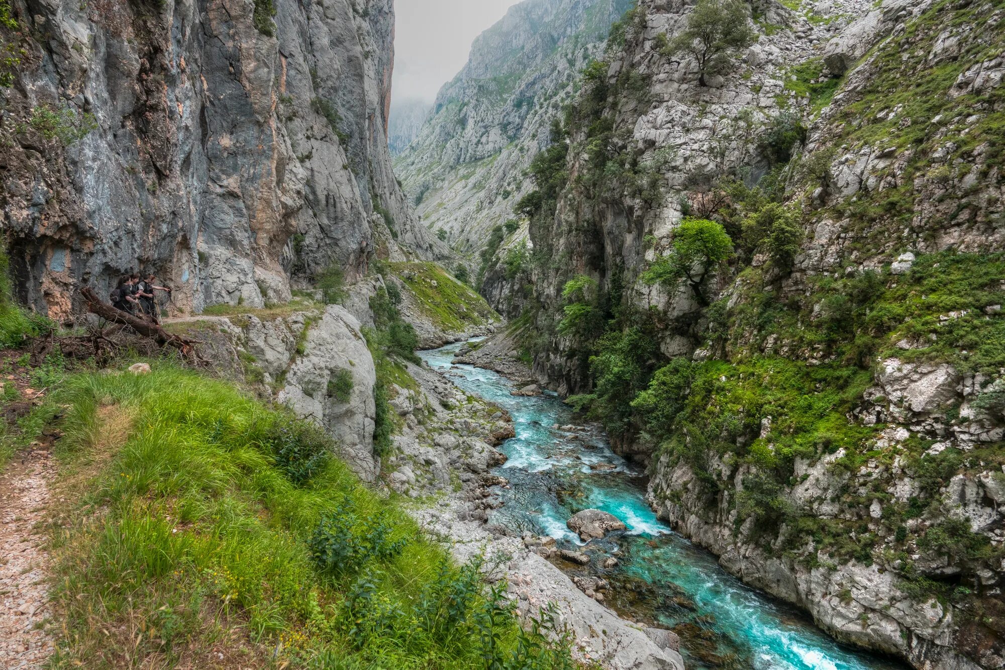 Река в ущелье фото Free Images : landscape, waterfall, wilderness, walking, trail, adventure, river