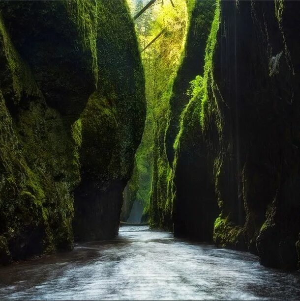 Река в ущелье фото Nature is beautiful - http://grandescapades.com Oregon outdoors, Beautiful trave